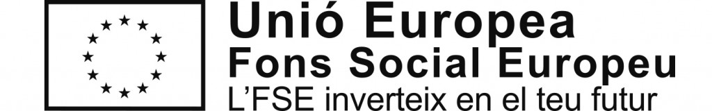 Fondo social europeo_Web